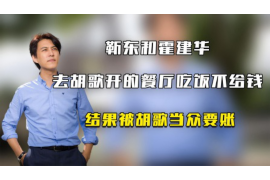 桂阳为什么选择专业追讨公司来处理您的债务纠纷？